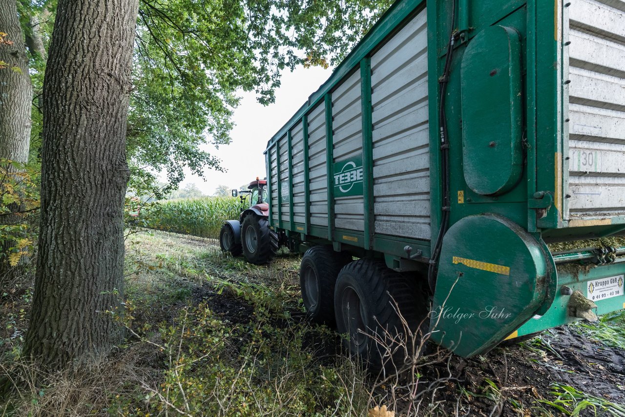 Bild 188 - Maisernte